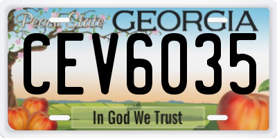 GA license plate CEV6035