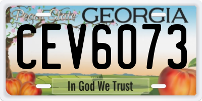 GA license plate CEV6073