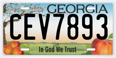 GA license plate CEV7893