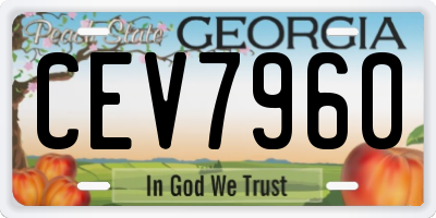 GA license plate CEV7960