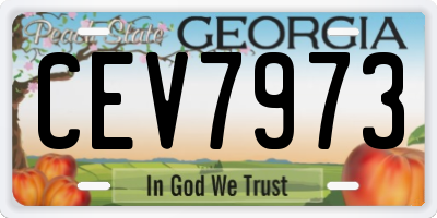 GA license plate CEV7973