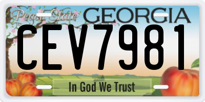 GA license plate CEV7981