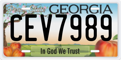 GA license plate CEV7989