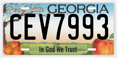 GA license plate CEV7993