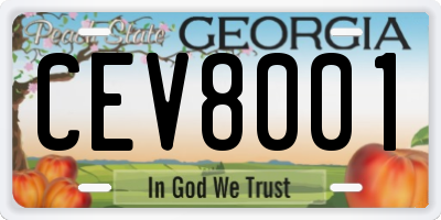GA license plate CEV8001