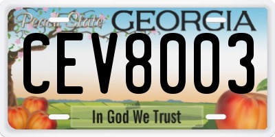 GA license plate CEV8003
