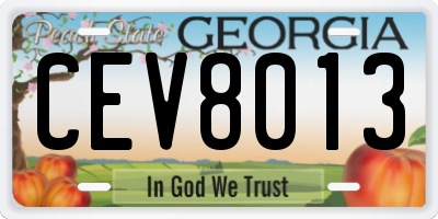 GA license plate CEV8013