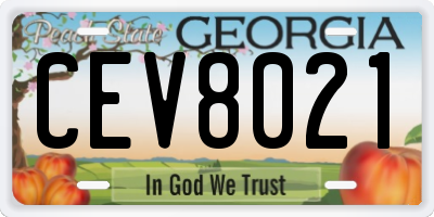 GA license plate CEV8021