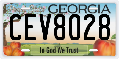 GA license plate CEV8028