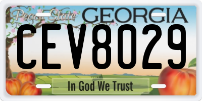 GA license plate CEV8029