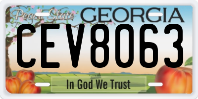 GA license plate CEV8063