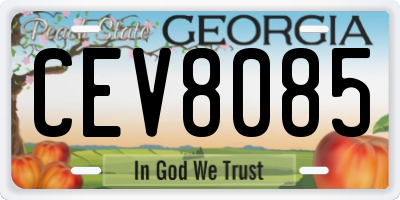 GA license plate CEV8085