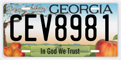GA license plate CEV8981