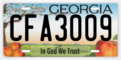 GA license plate CFA3009