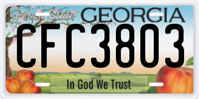 GA license plate CFC3803