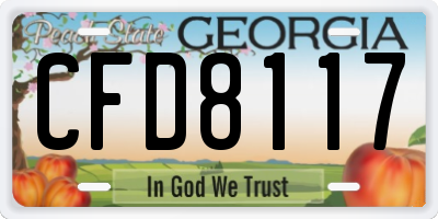 GA license plate CFD8117