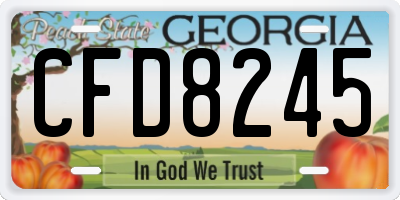 GA license plate CFD8245