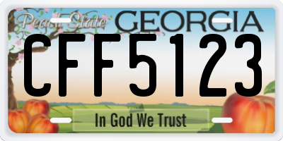 GA license plate CFF5123