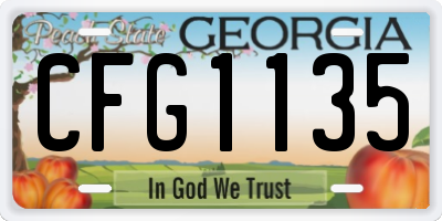 GA license plate CFG1135