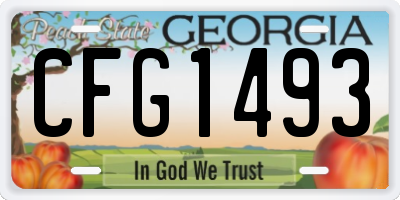 GA license plate CFG1493