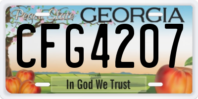 GA license plate CFG4207