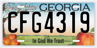 GA license plate CFG4319