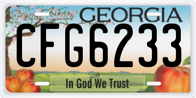 GA license plate CFG6233