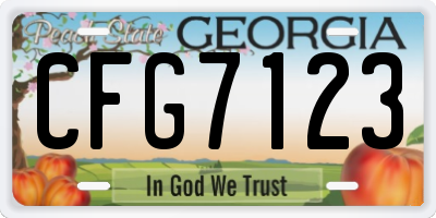 GA license plate CFG7123