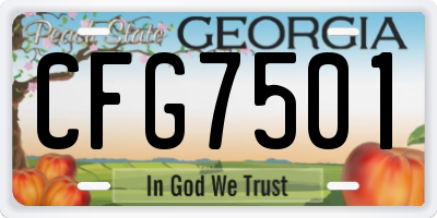 GA license plate CFG7501