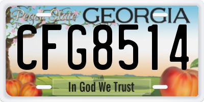 GA license plate CFG8514