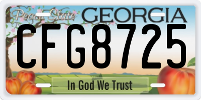 GA license plate CFG8725
