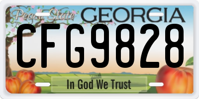 GA license plate CFG9828