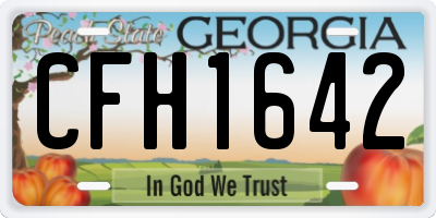 GA license plate CFH1642