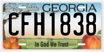 GA license plate CFH1838