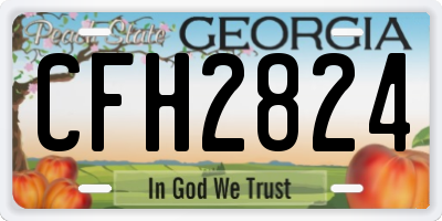 GA license plate CFH2824
