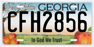 GA license plate CFH2856