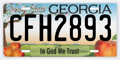 GA license plate CFH2893