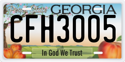 GA license plate CFH3005