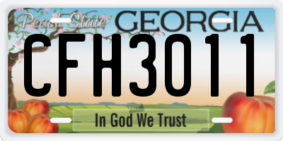 GA license plate CFH3011