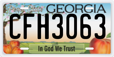 GA license plate CFH3063
