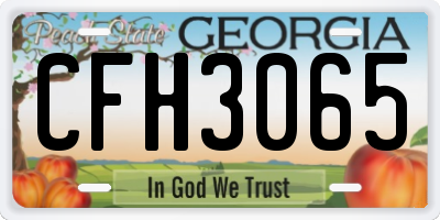 GA license plate CFH3065