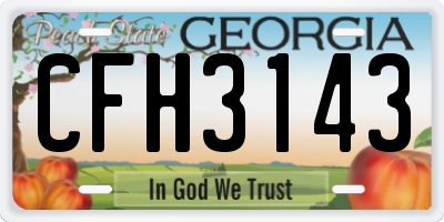 GA license plate CFH3143