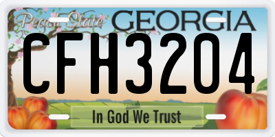 GA license plate CFH3204