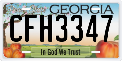 GA license plate CFH3347