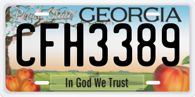 GA license plate CFH3389