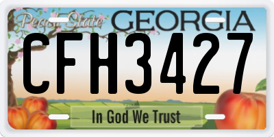 GA license plate CFH3427