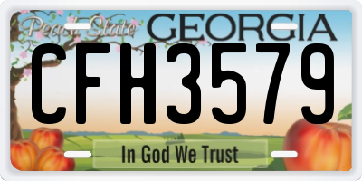 GA license plate CFH3579