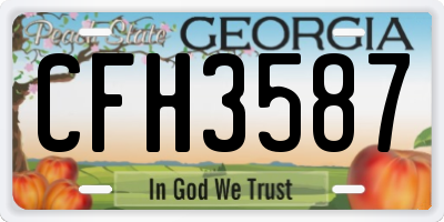 GA license plate CFH3587