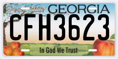 GA license plate CFH3623