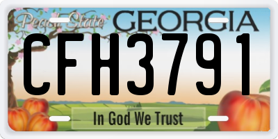 GA license plate CFH3791